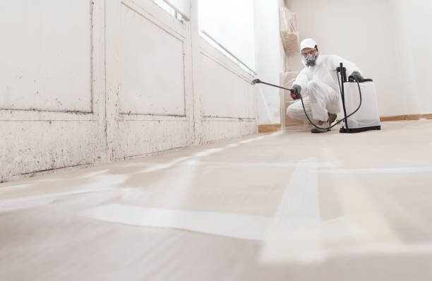 24/7 Emergency Black Mold Remediation experts in Hudson, FL