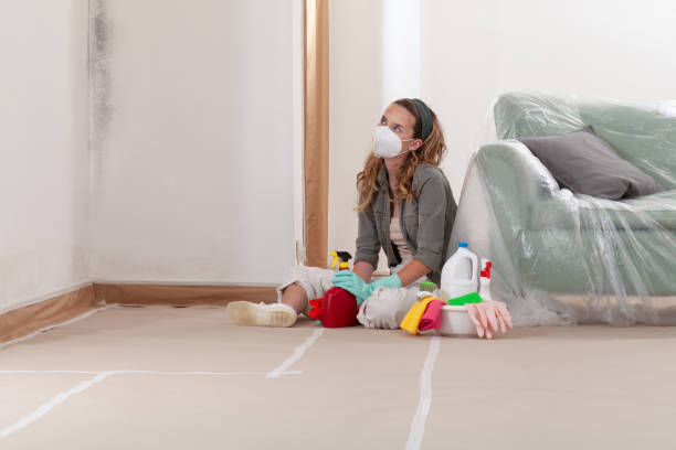 Reliable Black Mold Remediation contractor in Hudson, FL by 24 Hour Mold Removal